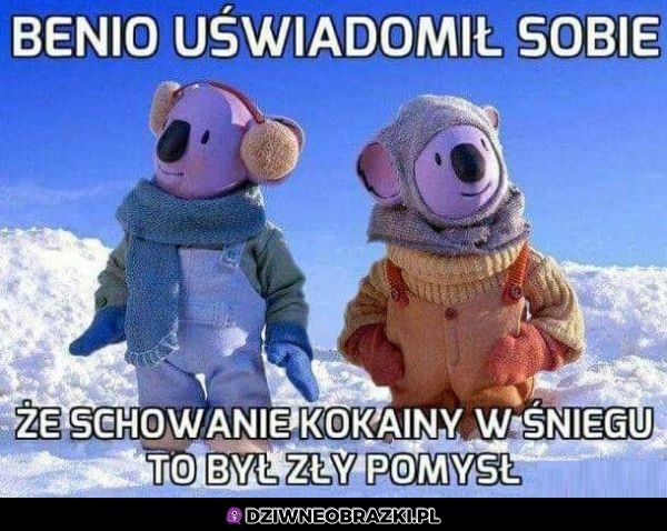 Średni pomysł