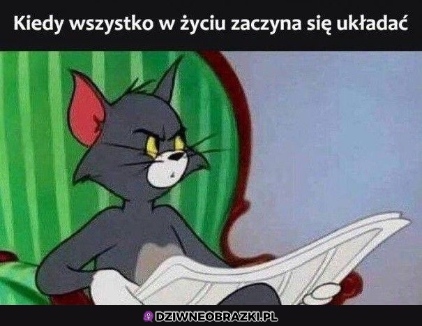 Podejrzane