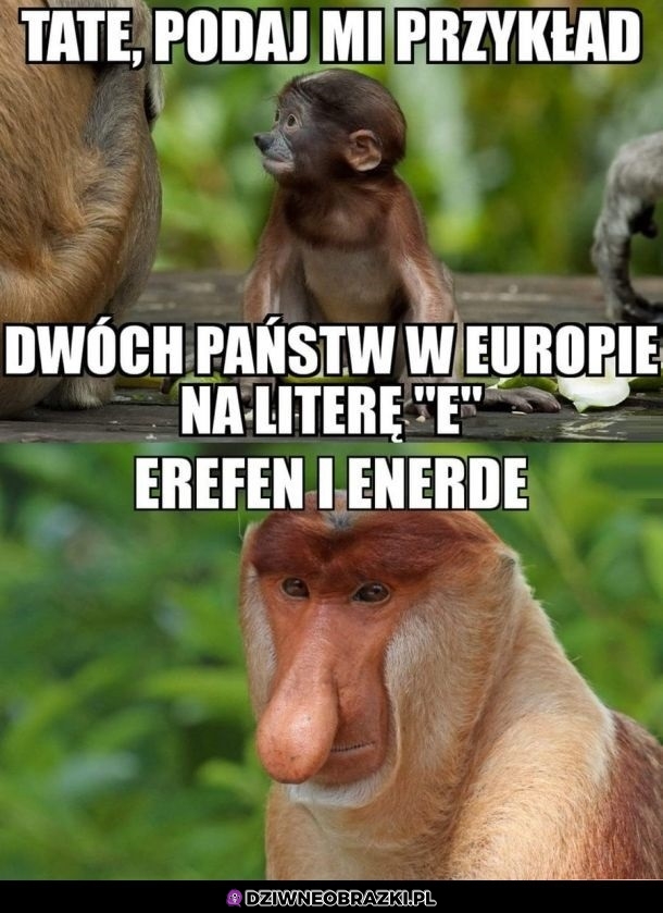 Państwa na E
