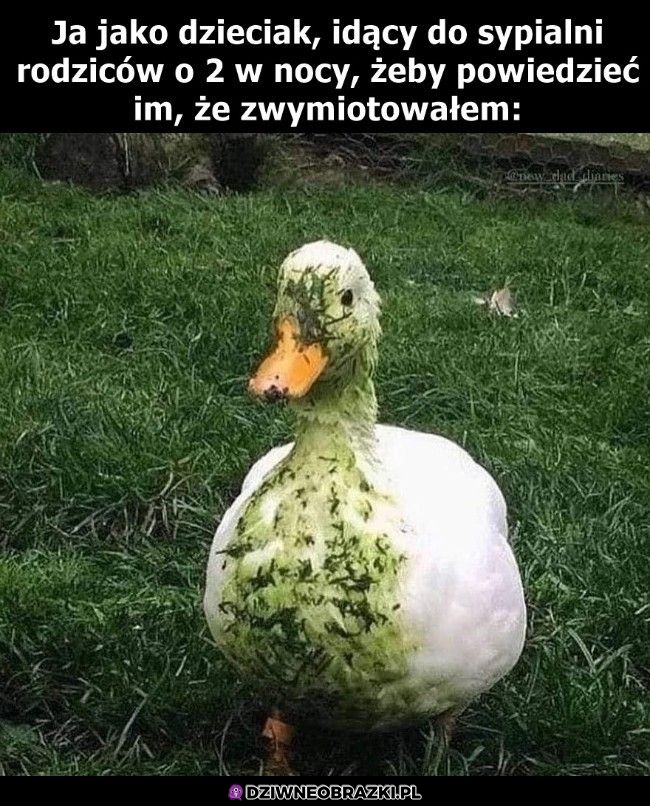 Tak było