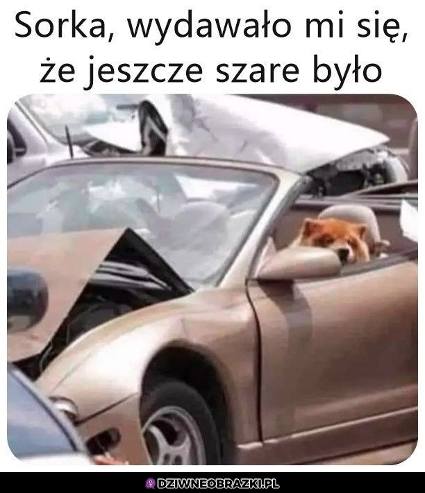 Szare było