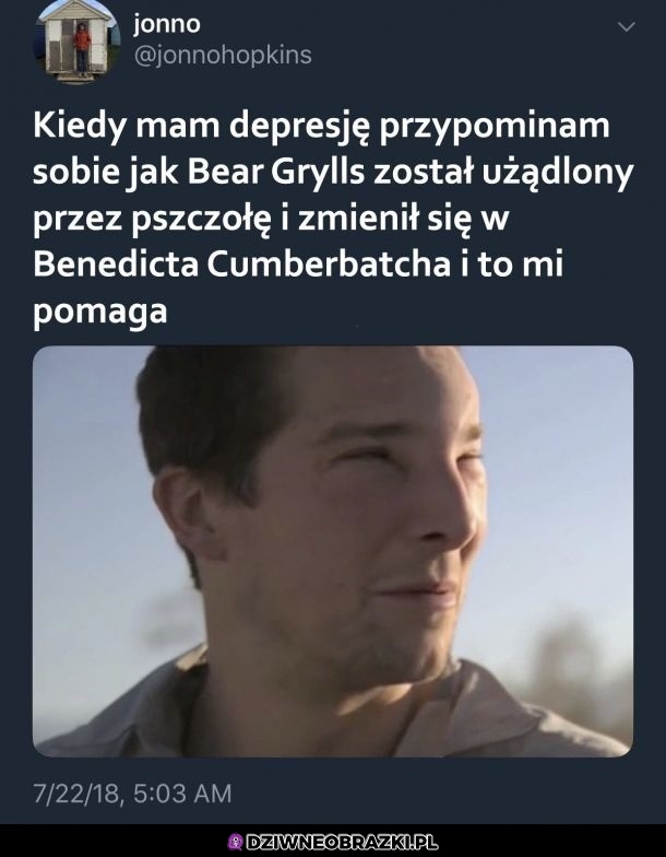 Grylls
