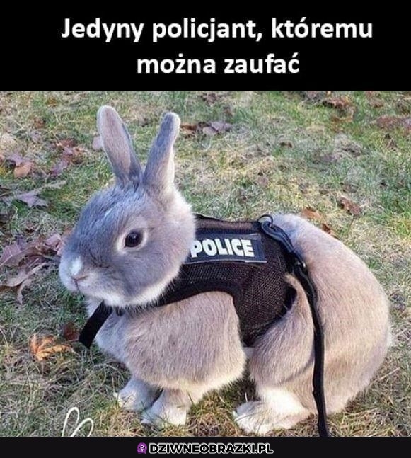 Jemu ufam
