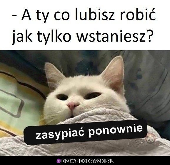 Najlepsze co można zrobić