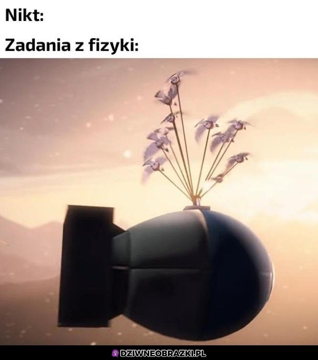 Tak je widzę