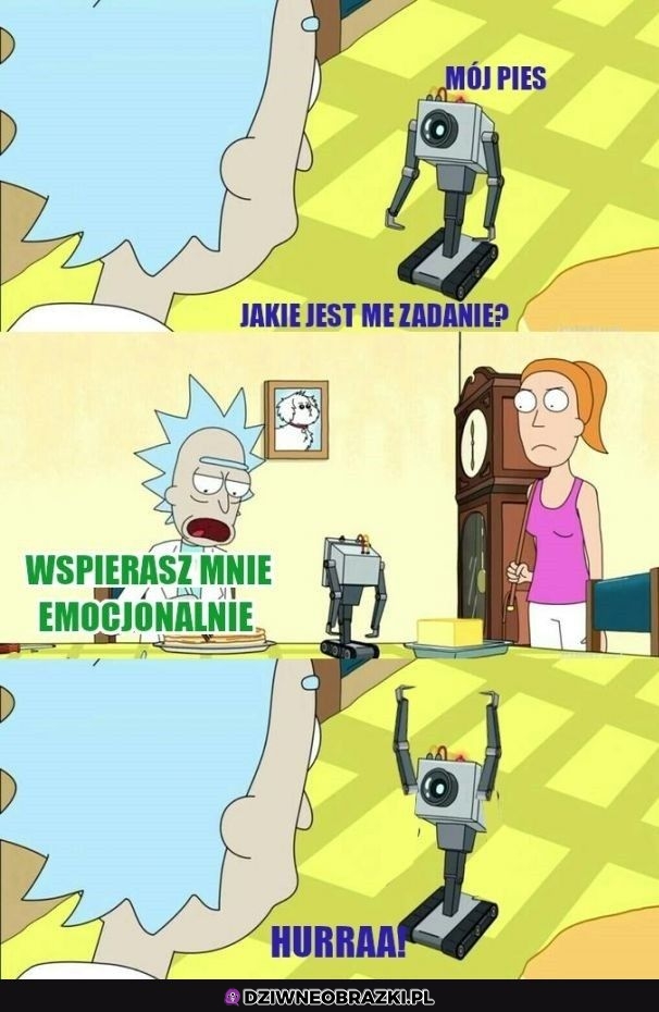 Zadanie