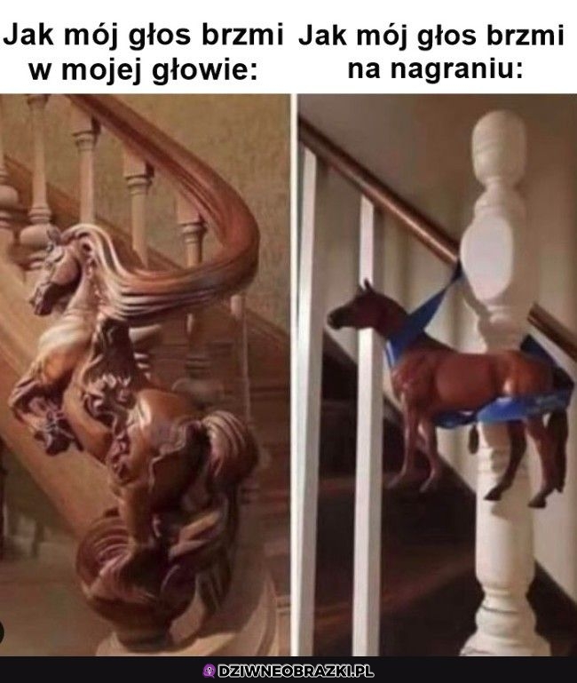 Głos taki jest