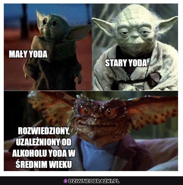 Yoda