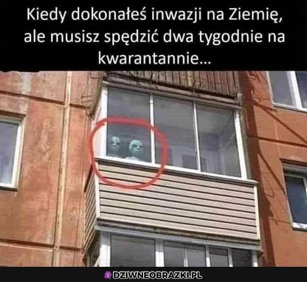 Swoje trzeba odsiedzieć