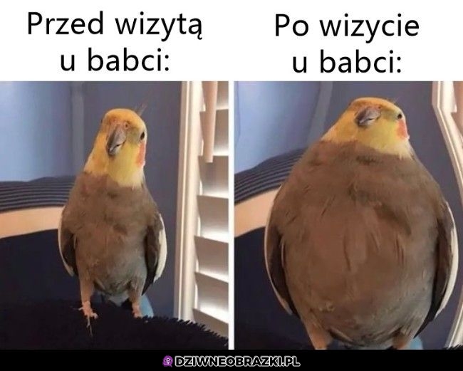 Wizyty u babci takie są