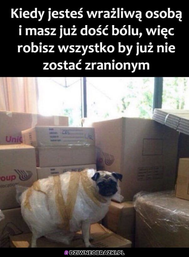 Ja już nie chcę