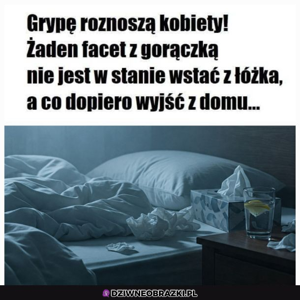 Czyli to wszystko wina kobiet