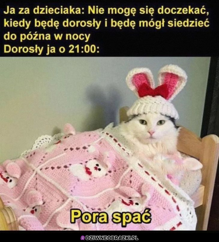 Moja dorosłość