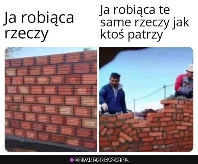 Zawsze tak to wygląda