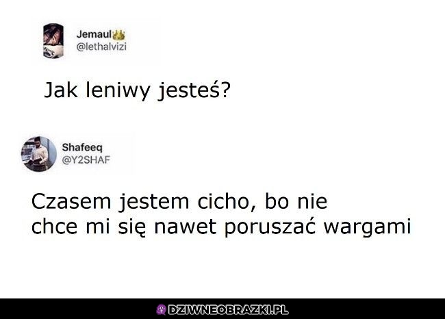 Poziom lenistwa