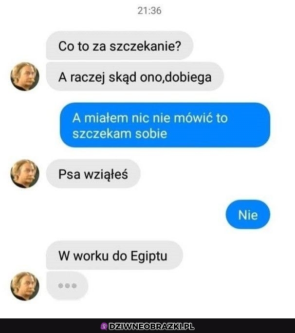 Co to za szczekanie?