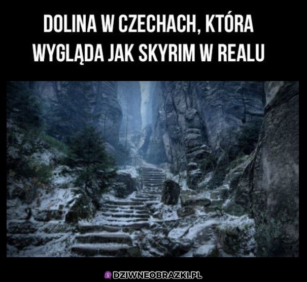 Wygląda kozak