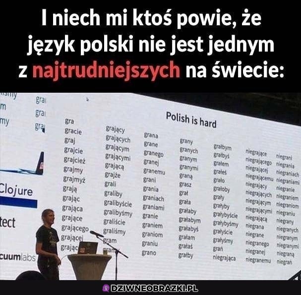 Odmiana w języku polskim