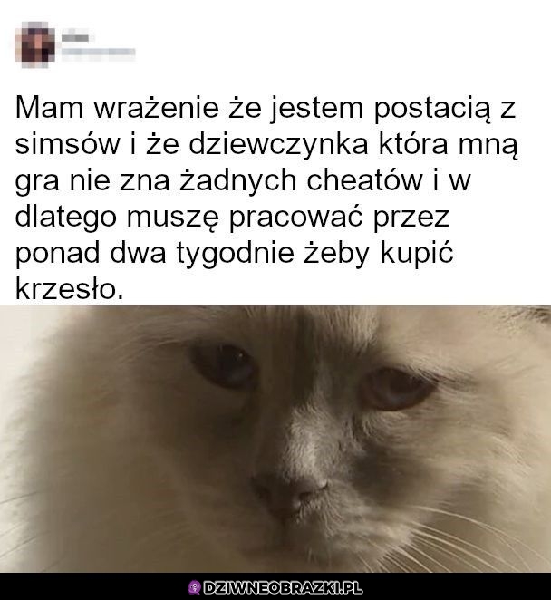 Takie mam wrażenie