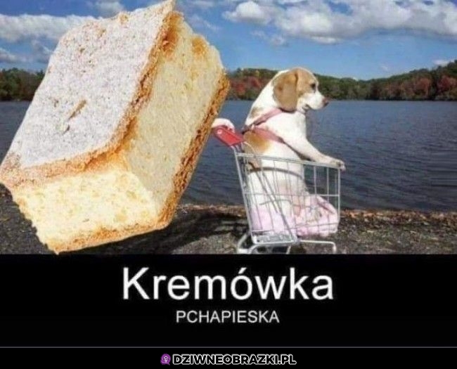 Kremówka