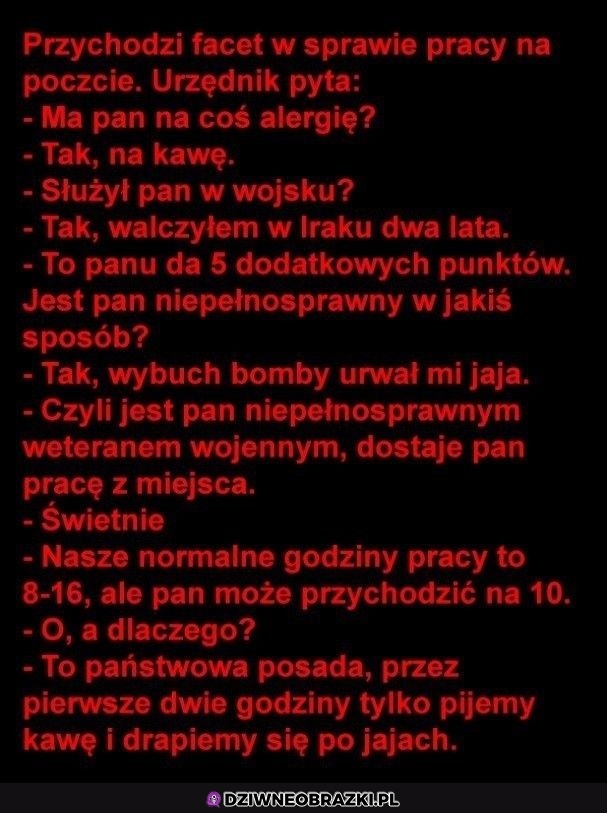 Kiedy szukasz pracy w państwówce