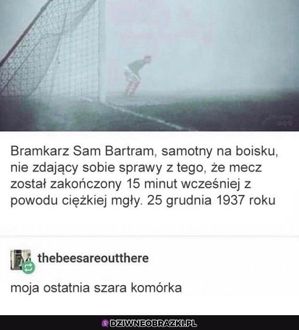 Tak samo zapomniana