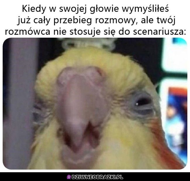 Ale co ty mówisz w ogóle