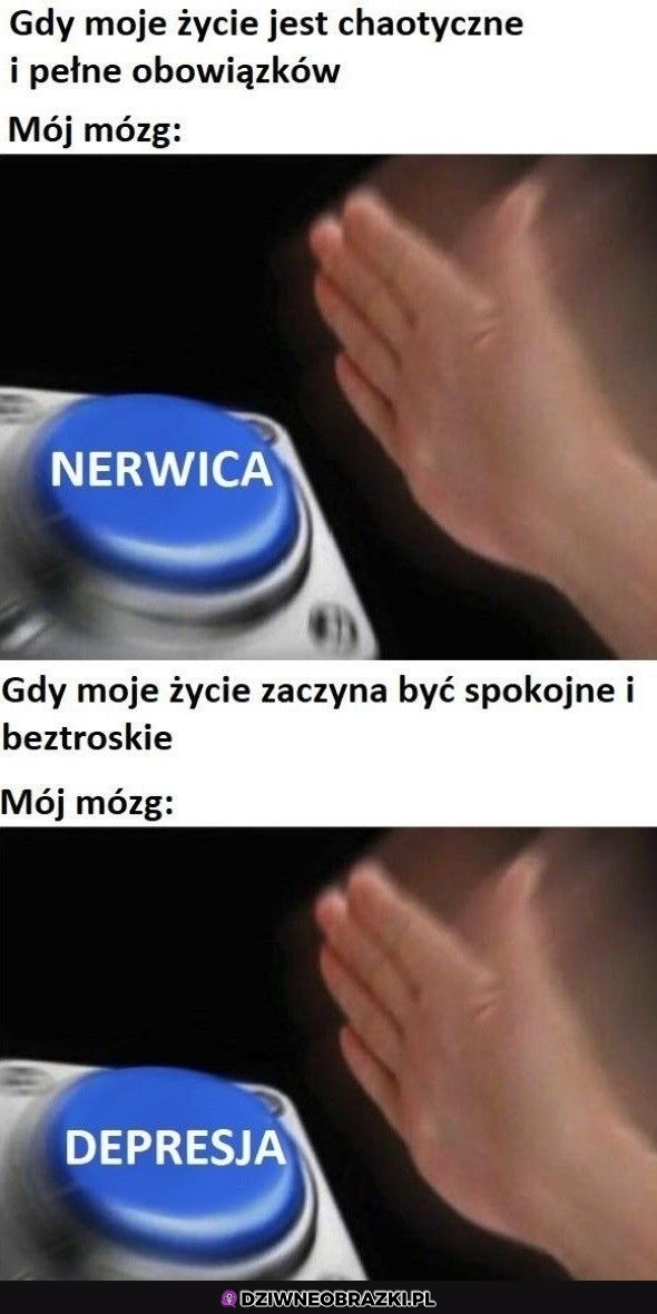 I tak w kółko