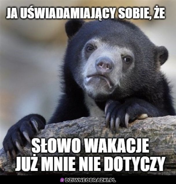 Jakie wakacje, do roboty