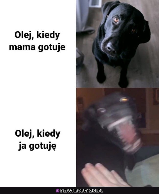 Jak to się dzieje