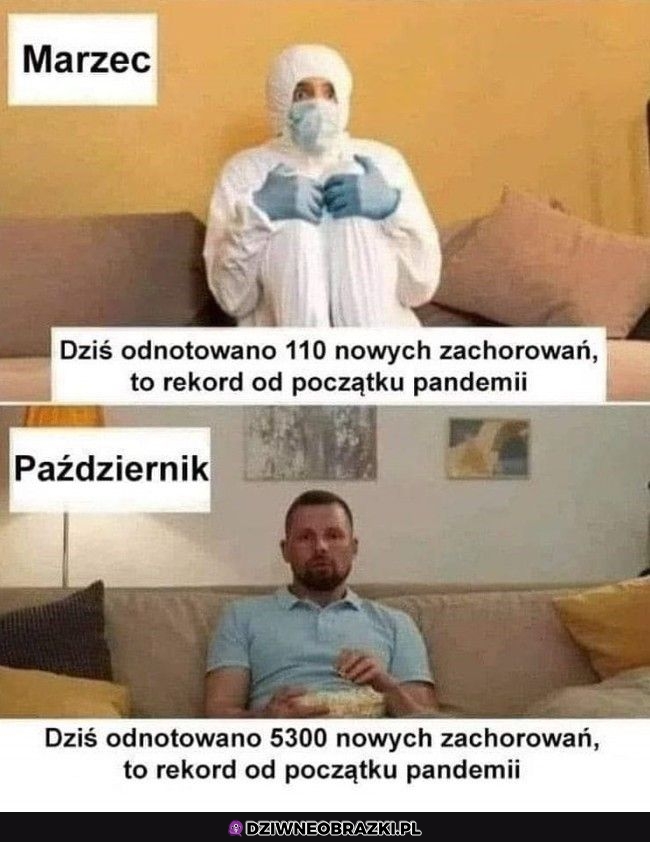 Chyba się przyzwyczailiśmy