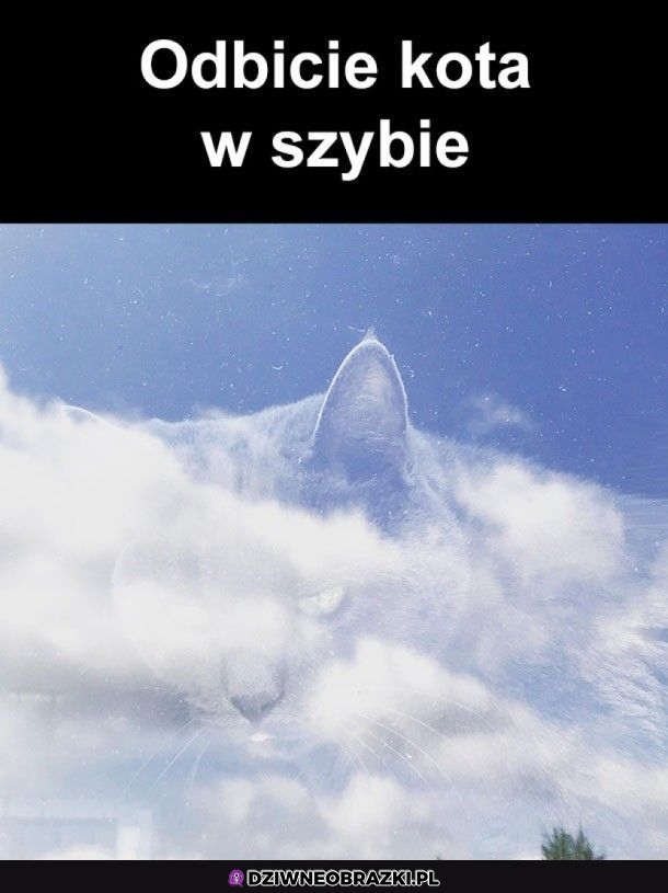 Koteł z niebios