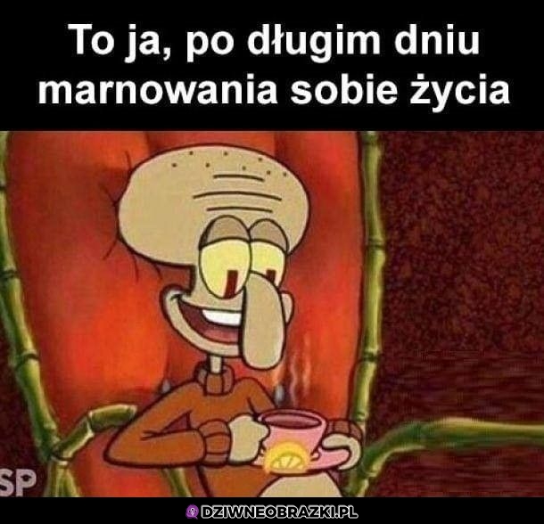 To był doskonały dzień