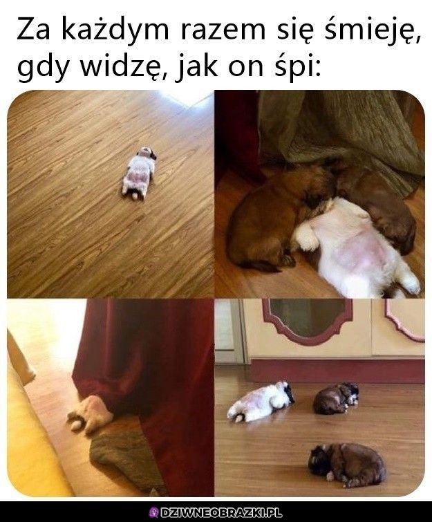 Spanko
