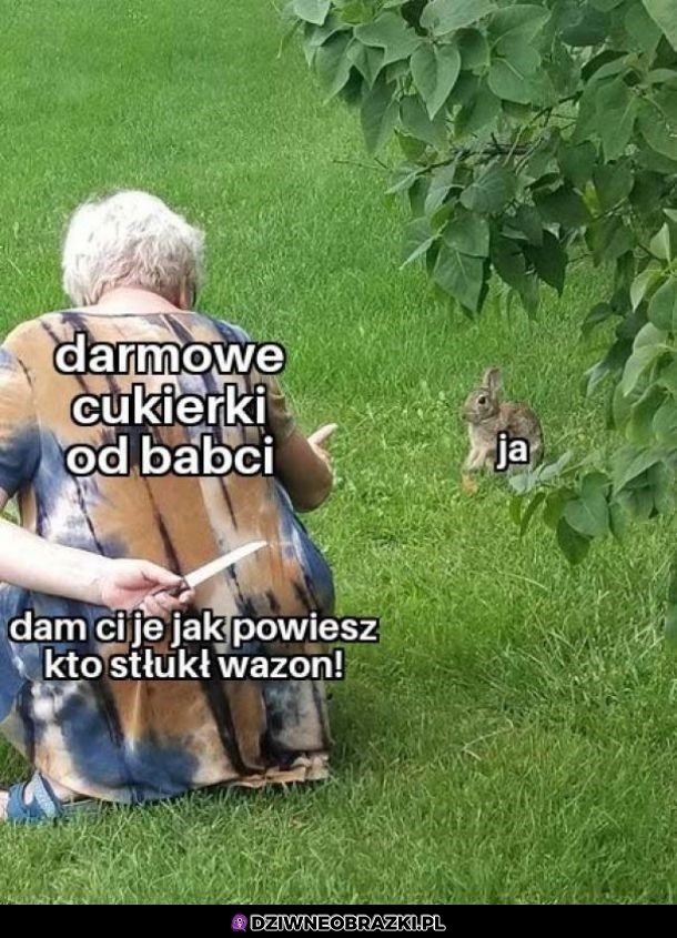 Pułapka