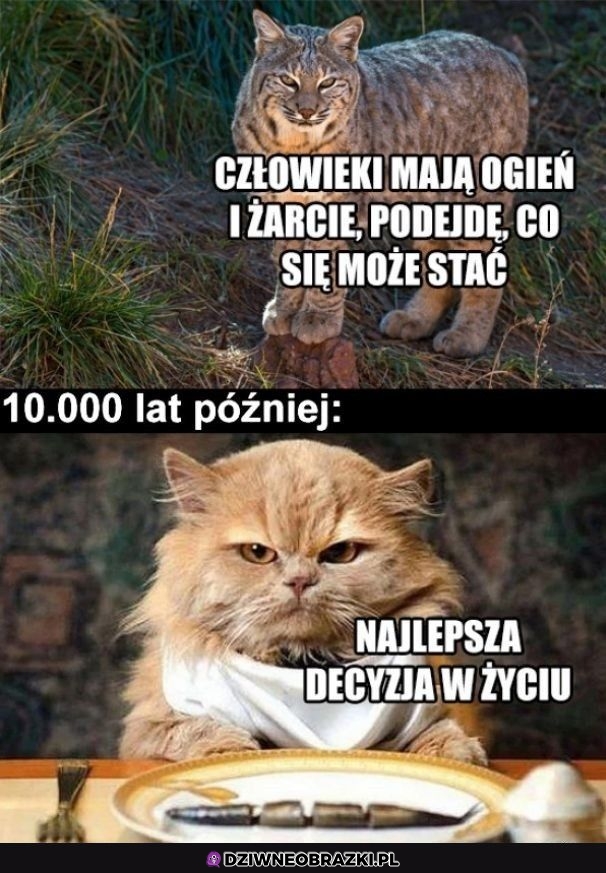 Warto było