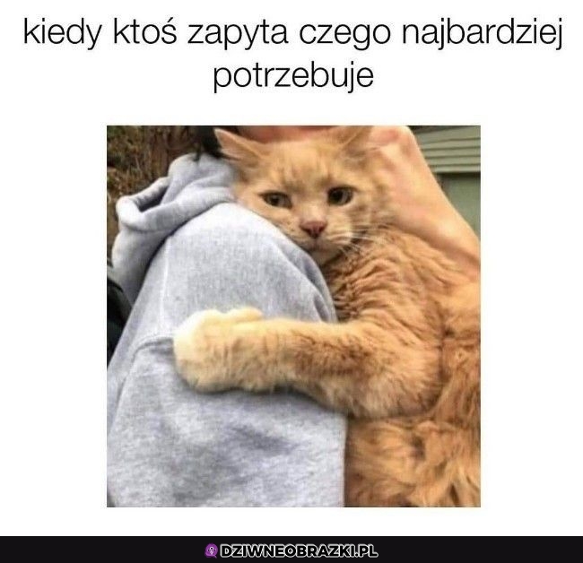 Właśnie tego