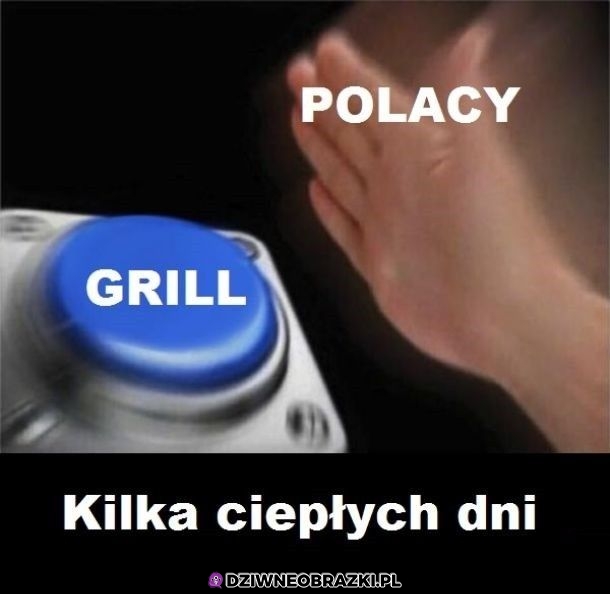 I cyk grill