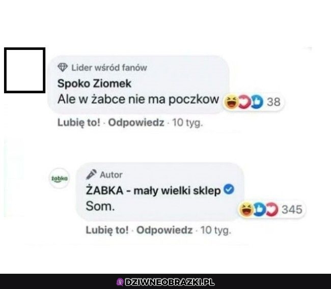 Żabka w formie