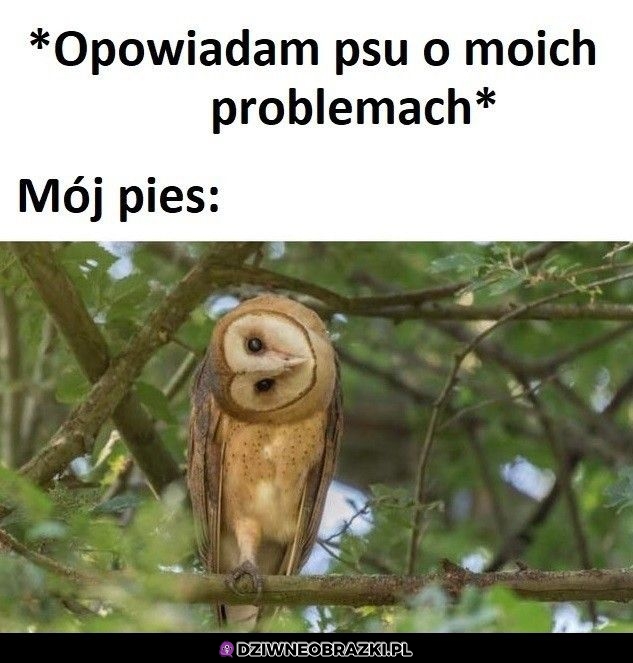 Ten przechył głowy