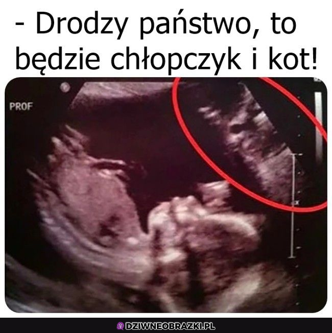 Tak będzie