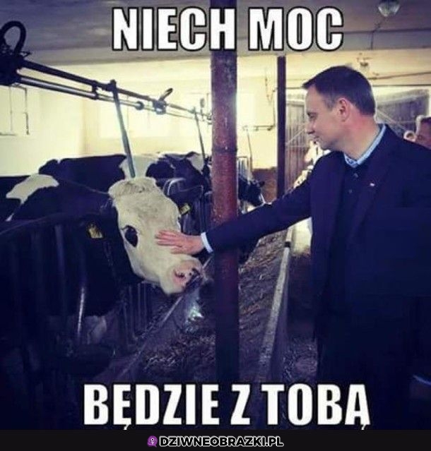 Błogosławieństwo
