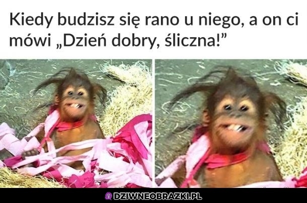 No hej