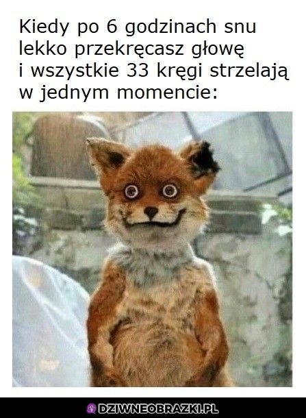 To uczucie