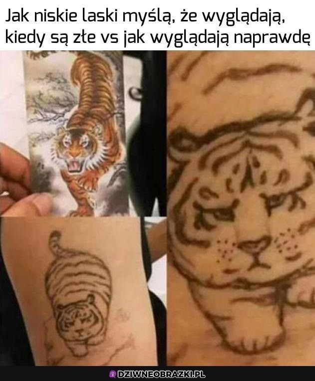 Tak to widzę