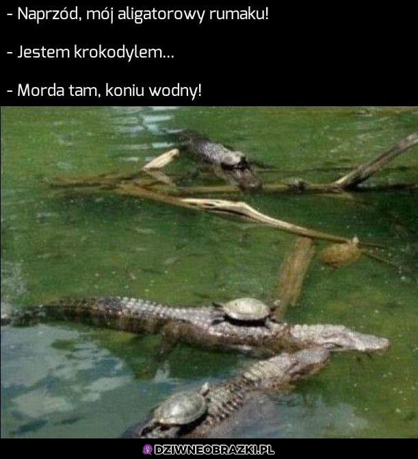 Do boju!