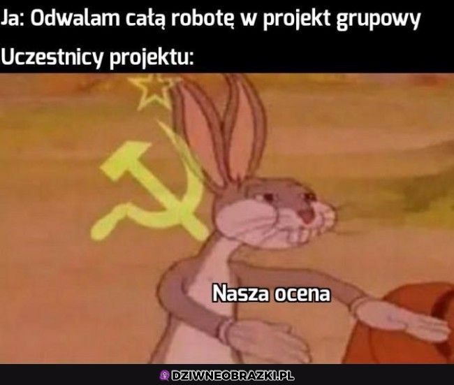 Projekty grupowe takie są