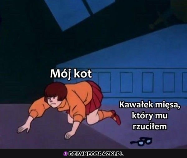 Za każdym razem