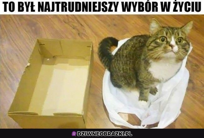 Decyzja została podjęta