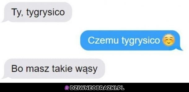 Tygrysek